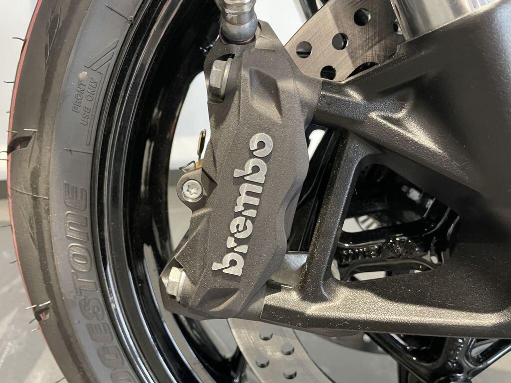 usatostore.bmw-motorrad.it Store BMW Motorrad F 900 R BMW F 900 R MY20