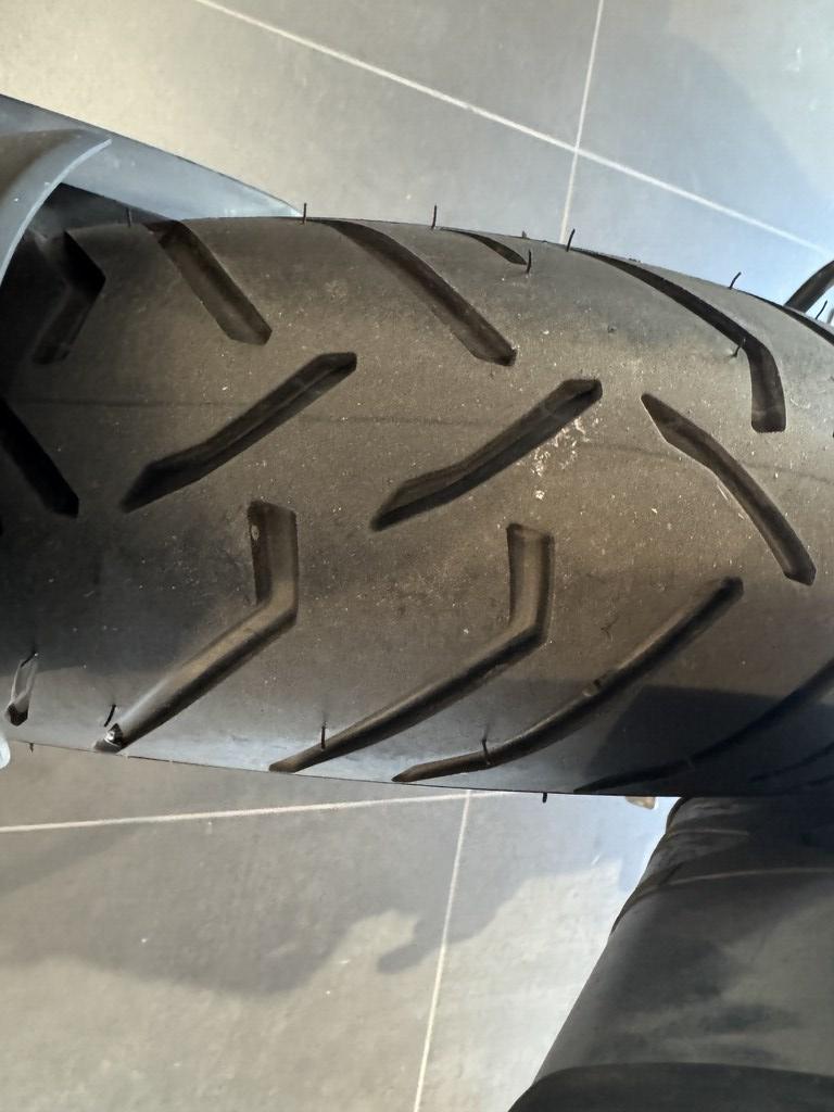 usatostore.bmw-motorrad.it Store BMW Motorrad R 1250 GS BMW R 1250 GS ABS MY21