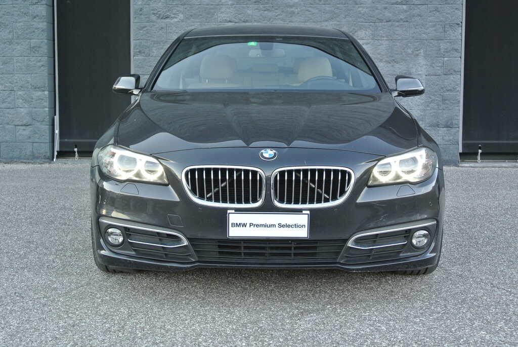 usatostore.bmw.it Store BMW Serie 5 520d Touring xdrive Luxury 190cv auto