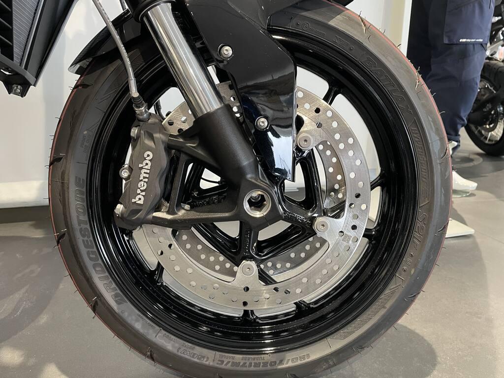 usatostore.bmw-motorrad.it Store BMW Motorrad F 900 R BMW F 900 R MY20